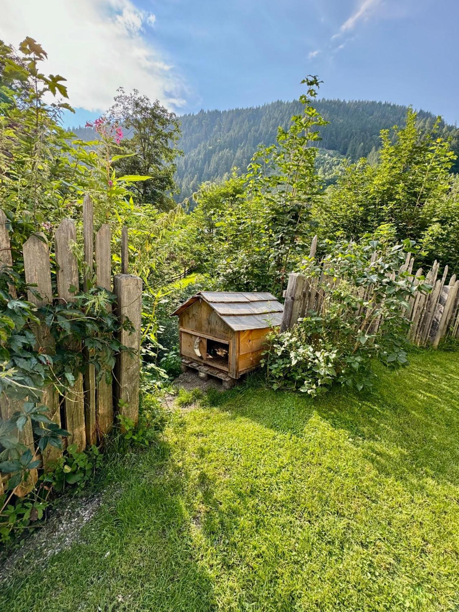 Appartement Haensel & Gretel ويرفنوينغ المظهر الخارجي الصورة